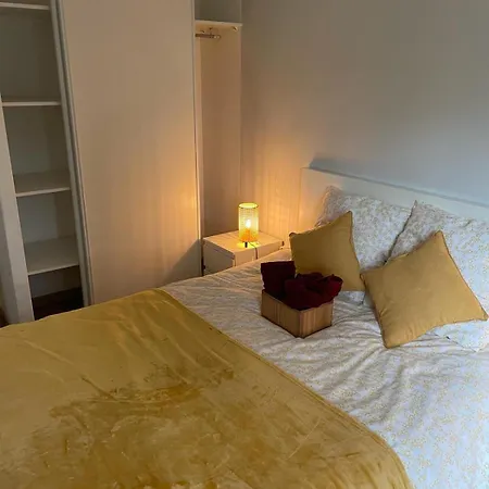 2 Avec Terrasse Et Garage Saint-Andre-lez-Lille