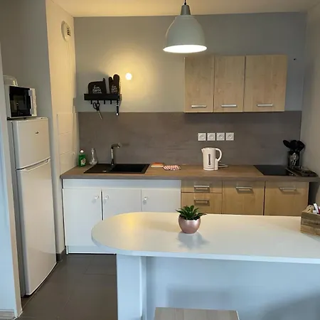 2 Avec Terrasse Et Garage Saint-Andre-lez-Lille